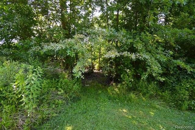 Welcome home to this beautifully updated ranch nestled on 3.1 - photo 33