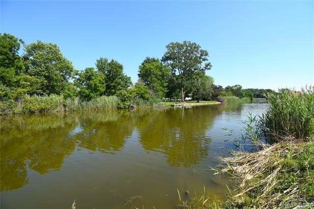 Welcome home to this beautifully updated ranch nestled on 3.1 - photo 38