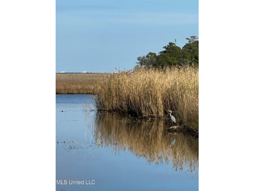 TRUE WATERFRONT DEEP WATER ACCESS PROPERTY ON THE PASCAGOULA - photo 2