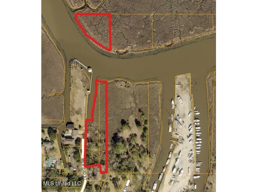 TRUE WATERFRONT DEEP WATER ACCESS PROPERTY ON THE PASCAGOULA - photo 5