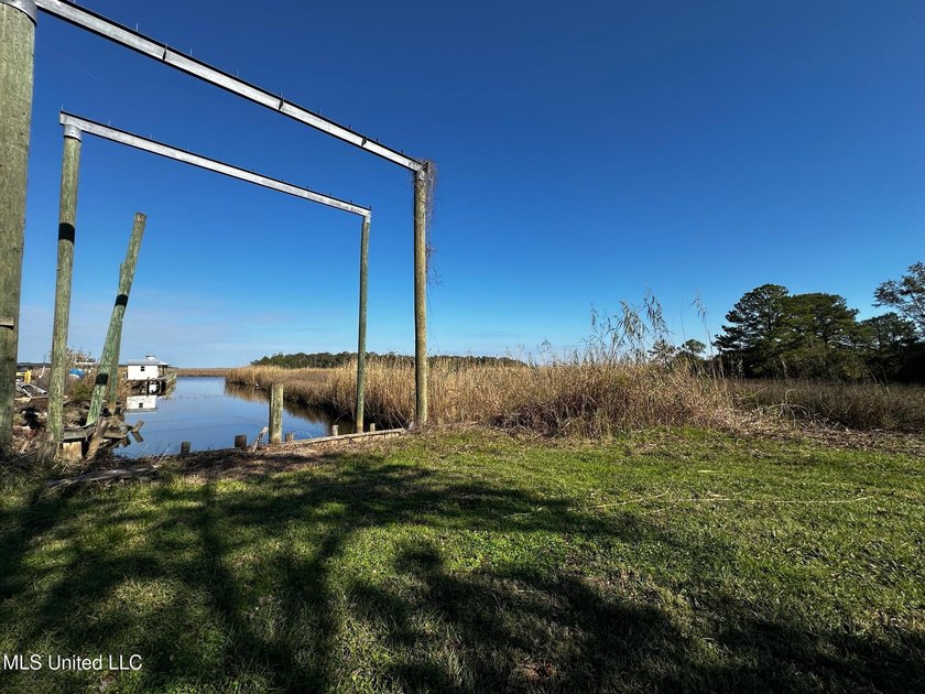 TRUE WATERFRONT DEEP WATER ACCESS PROPERTY ON THE PASCAGOULA - photo 8
