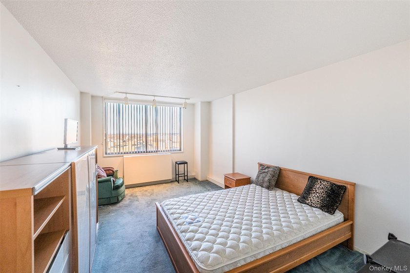Beautiful high-floor 1-bedroom, 1-bath condo. This bright and - photo 18
