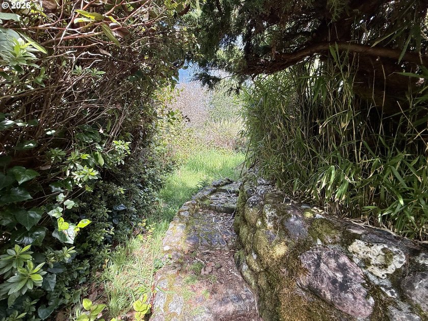 ONE-OF-A-KIND OPPORTUNITY! Rarely does a property of this - photo 11