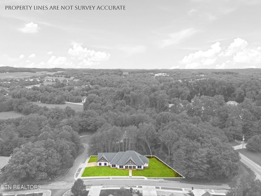 Brand new construction and move-in ready in Tellico Village! - photo 49