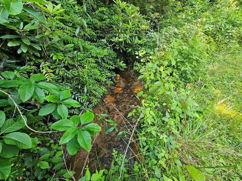 UNRESTRICTED 31+ acres with direct State Road access. Property - photo 2