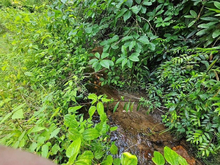 UNRESTRICTED 31+ acres with direct State Road access. Property - photo 3