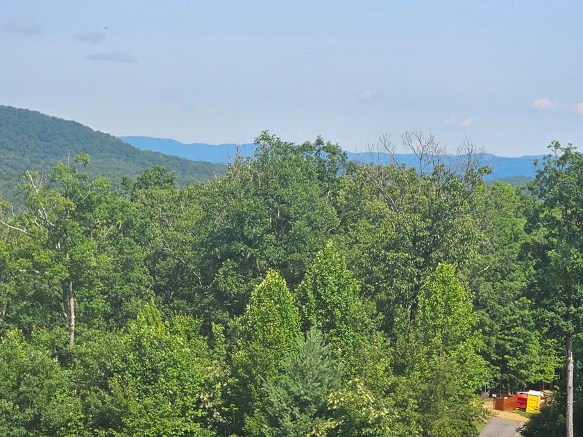 UNRESTRICTED 31+ acres with direct State Road access. Property - photo 6