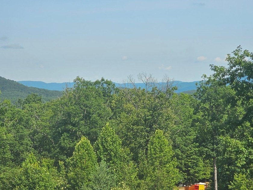 UNRESTRICTED 31+ acres with direct State Road access. Property - photo 7
