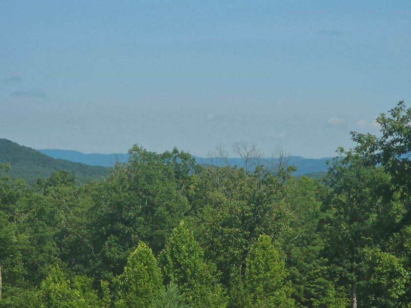 UNRESTRICTED 31+ acres with direct State Road access. Property - photo 8