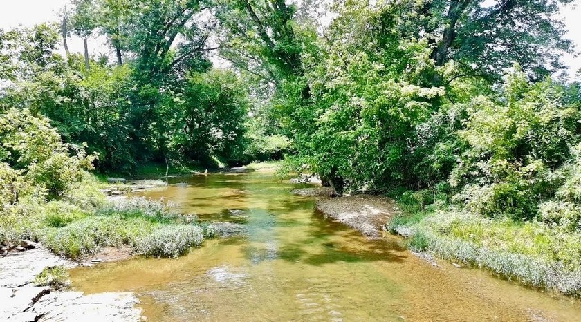 8.38 ACRES, m/l, Excellent Acreage Tract with LOTS of room for - photo 22