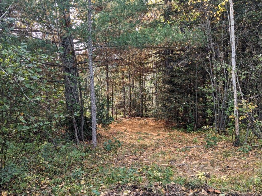 Escape to the great outdoors with this 37-acre recreational and - photo 12