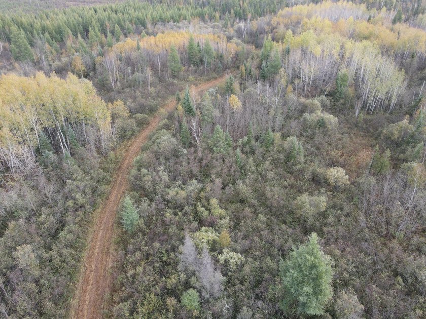 Escape to the great outdoors with this 37-acre recreational and - photo 14
