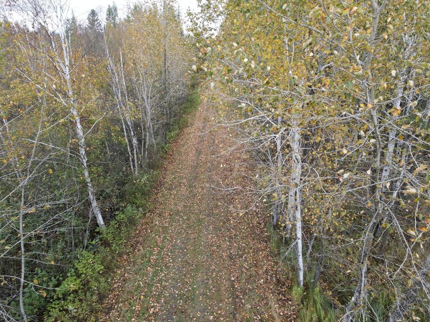 Escape to the great outdoors with this 37-acre recreational and - photo 15