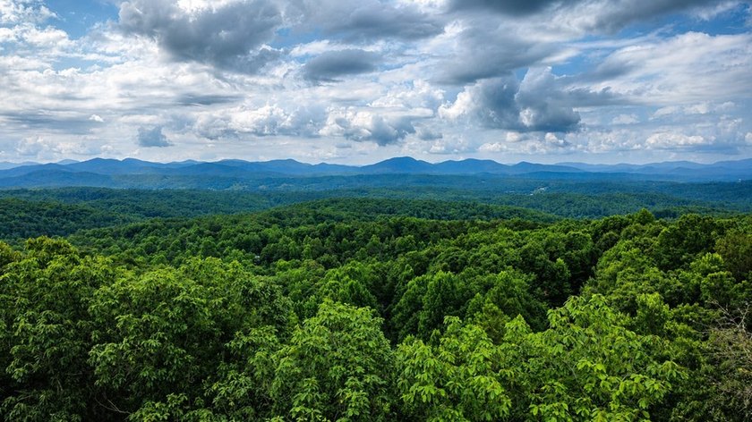 Tucked into a private wooded setting on top of the mountain in - photo 3