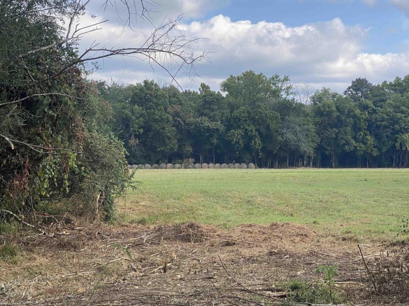 Get your lot bordering the Southfork of the Ouachita River! - photo 3