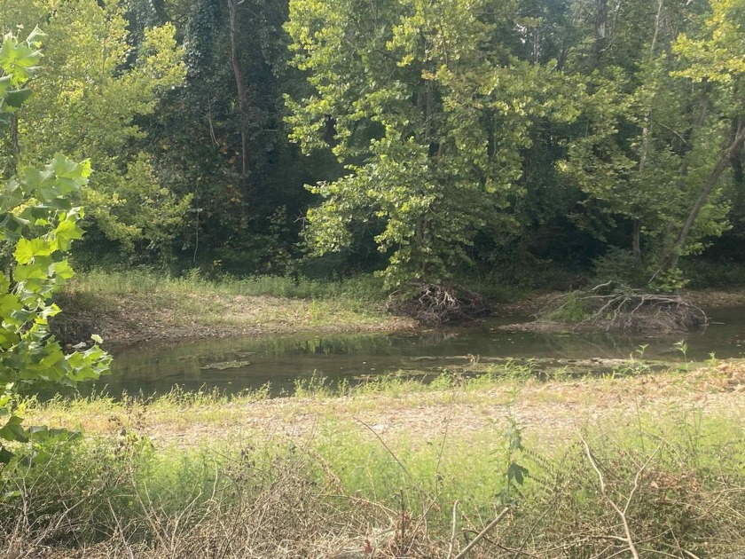 Get your lot bordering the Southfork of the Ouachita River! - photo 6