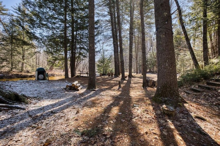 200 feet on the Bear Camp River. This beautiful lot offers peace - photo 12