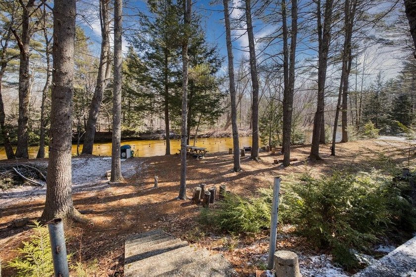 200 feet on the Bear Camp River. This beautiful lot offers peace - photo 13