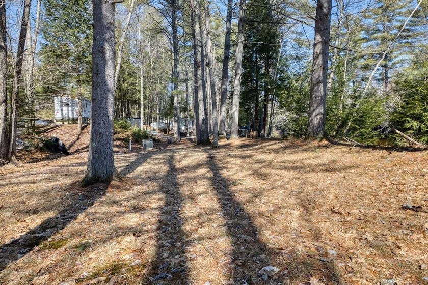 200 feet on the Bear Camp River. This beautiful lot offers peace - photo 16