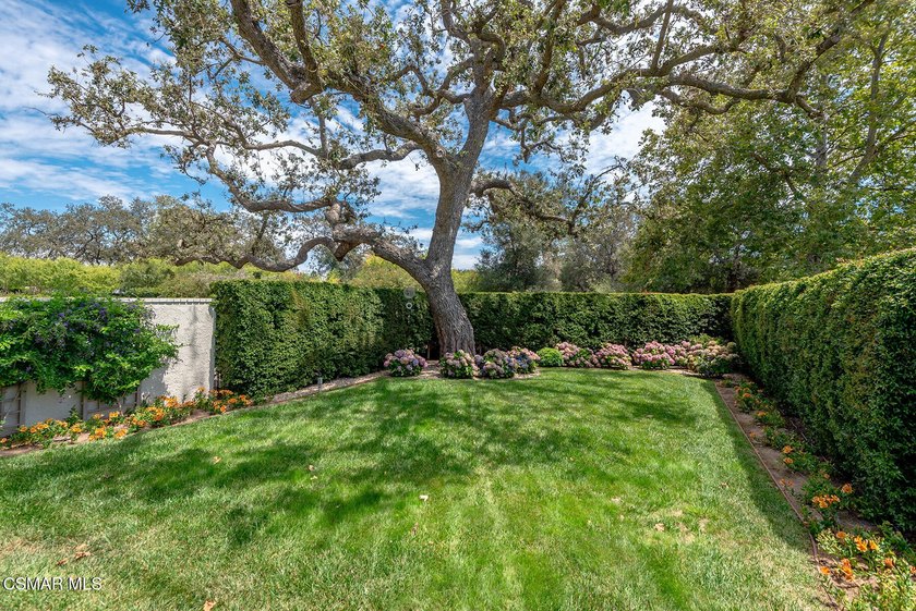 Stunning corner location overlooking the North Ranch Country - photo 46