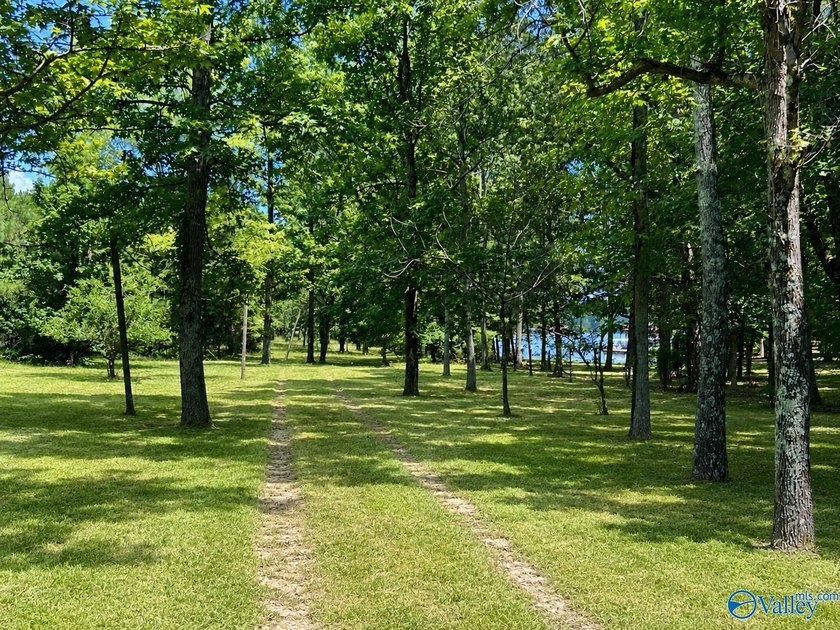 Discover the possibilities w/ this 2.5+/- acre waterfront - photo 17