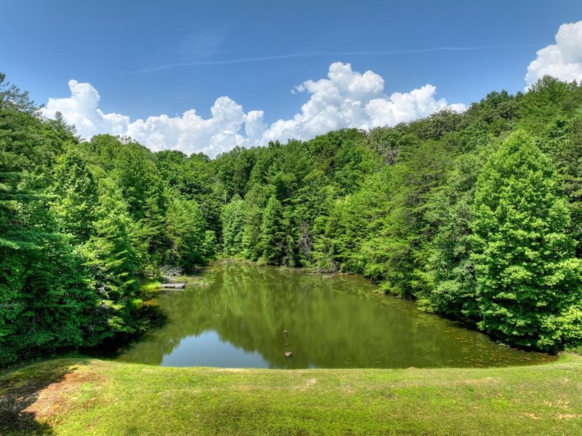 THE PINNACLE OF NORTH GEORGIA MOUNTAIN LIVING - Fall in love - photo 9
