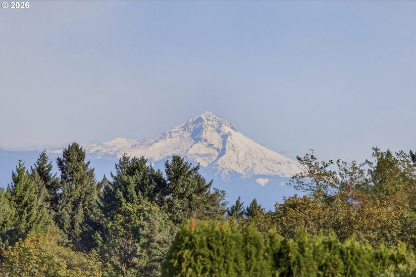 A one-of-one Architectural Offering with Panoramic Mountain &amp; - photo 17