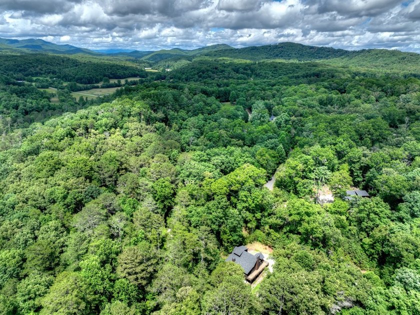 Nestled in the heart of the Blue Ridge Mountains, this adorable - photo 2