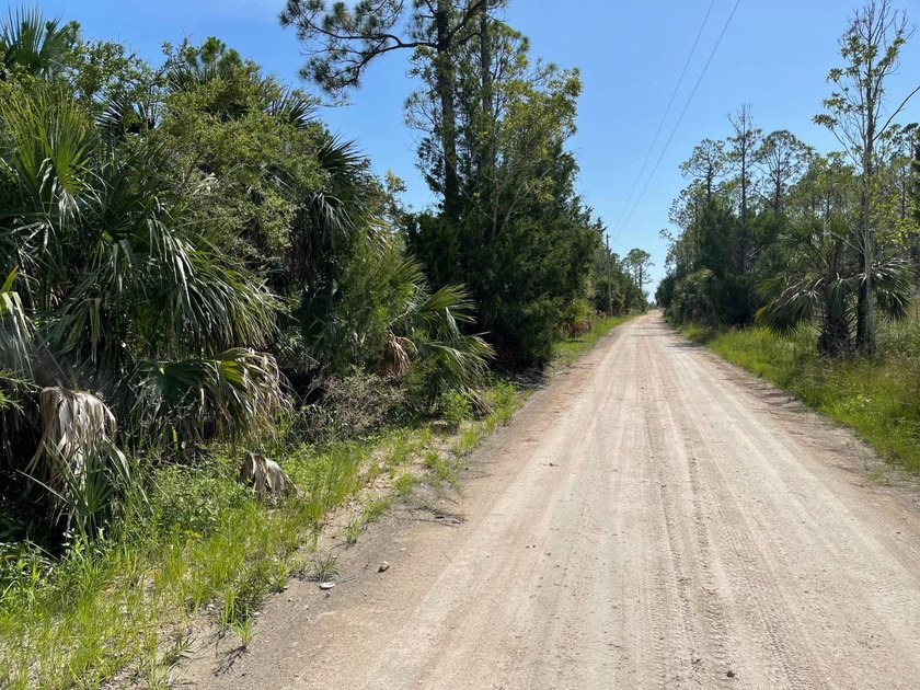 This expansive 81.58-acre property offers a unique blend of - photo 3