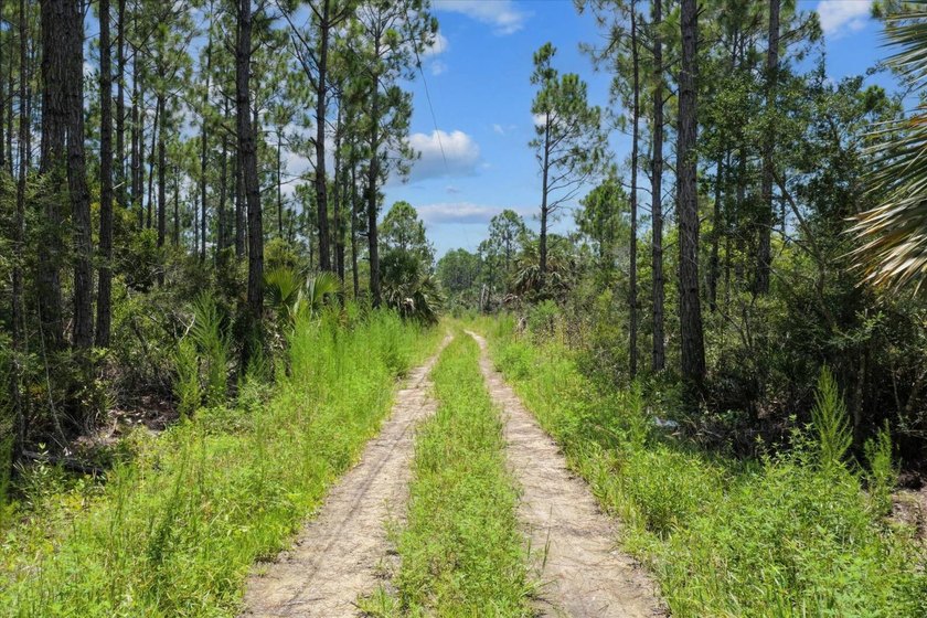 This expansive 81.58-acre property offers a unique blend of - photo 4