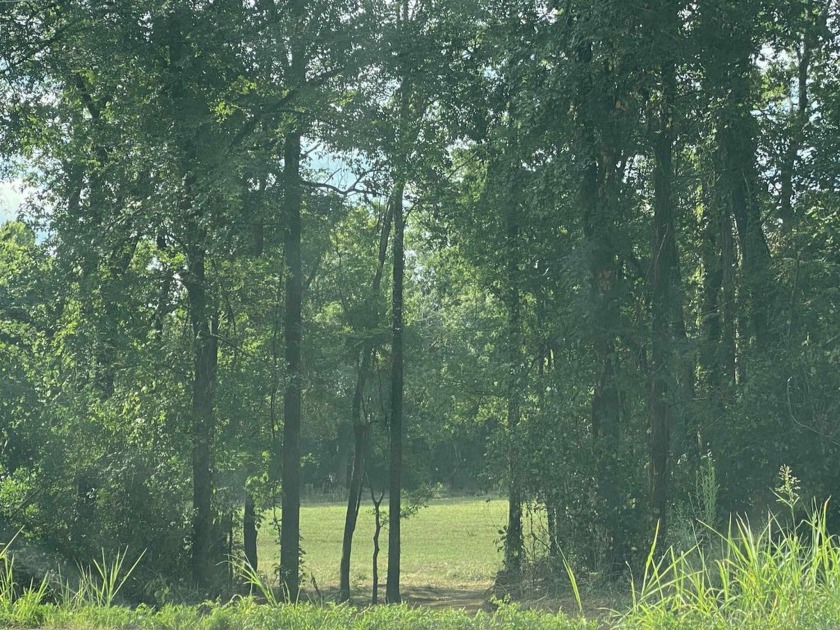 Get your lot near the Southfork of the Ouachita River! This lot - photo 3