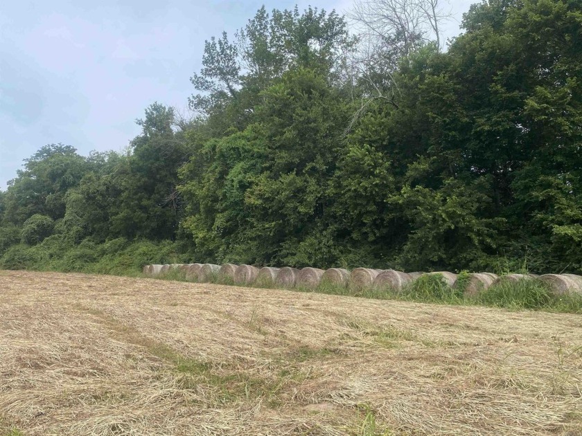 Get your lot near the Southfork of the Ouachita River! This lot - photo 8