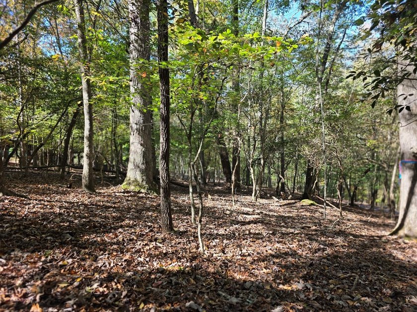 Are you thinking of a gentle almost Level lot... with seasonal - photo 9