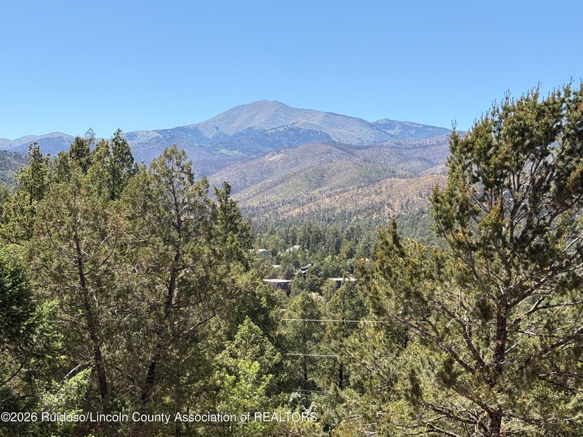 BREATHTAKING SIERRA BLANCA VIEWS! This custom, one-owner 3BD/3BA - photo 3