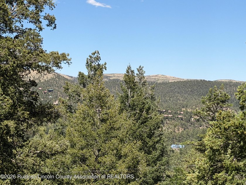 BREATHTAKING SIERRA BLANCA VIEWS! This custom, one-owner 3BD/3BA - photo 4