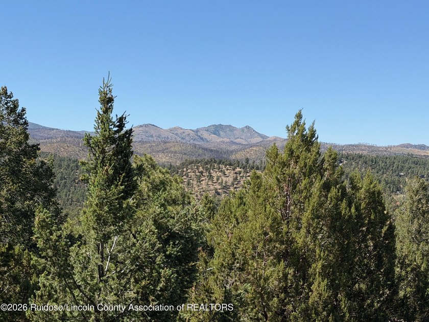 BREATHTAKING SIERRA BLANCA VIEWS! This custom, one-owner 3BD/3BA - photo 5
