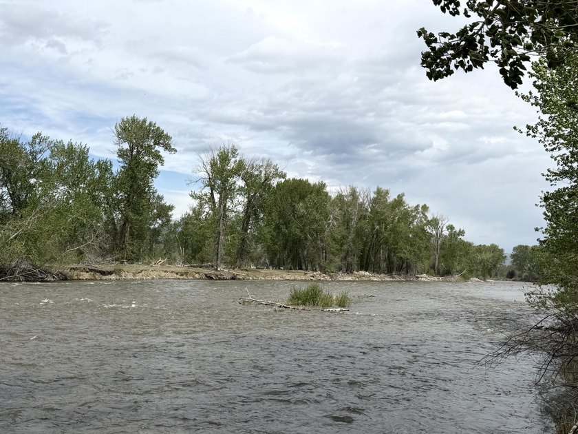 Large 97.5 acre parcel in Challis with Salmon River adjacency - photo 5