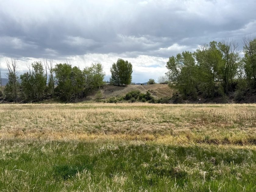 Large 97.5 acre parcel in Challis with Salmon River adjacency - photo 6
