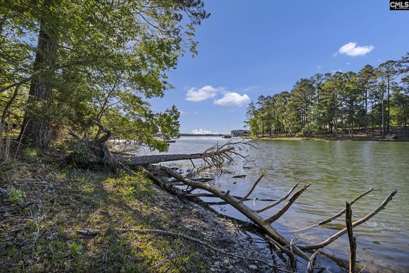 7.44 acres connected to Dominion Energy lakefront land. Recently - photo 3