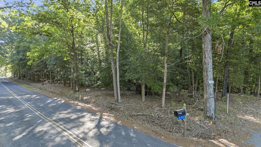 7.44 acres connected to Dominion Energy lakefront land. Recently - photo 5
