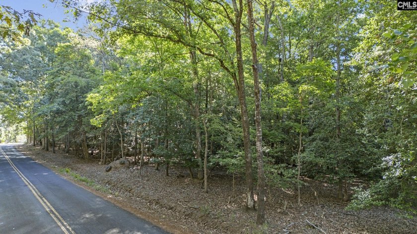 7.44 acres connected to Dominion Energy lakefront land. Recently - photo 6