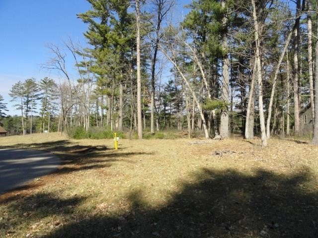 Lot 16, a buildable wooded lot on Nepco Lake, Central Wis. Build - photo 20