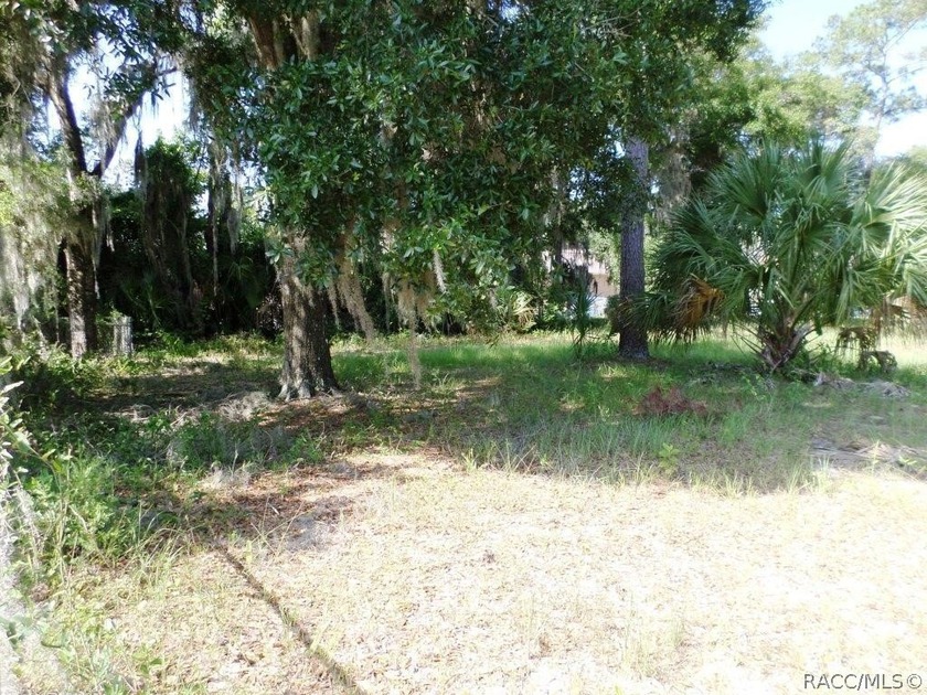 Fantastic opportunity to create your ideal residence on this - photo 2