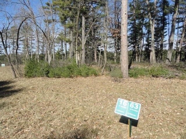 Lot 16, a buildable wooded lot on Nepco Lake, Central Wis. Build - photo 23