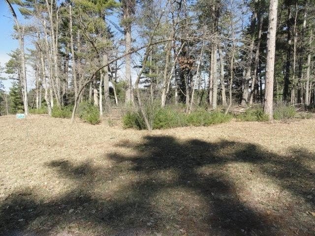 Lot 16, a buildable wooded lot on Nepco Lake, Central Wis. Build - photo 24