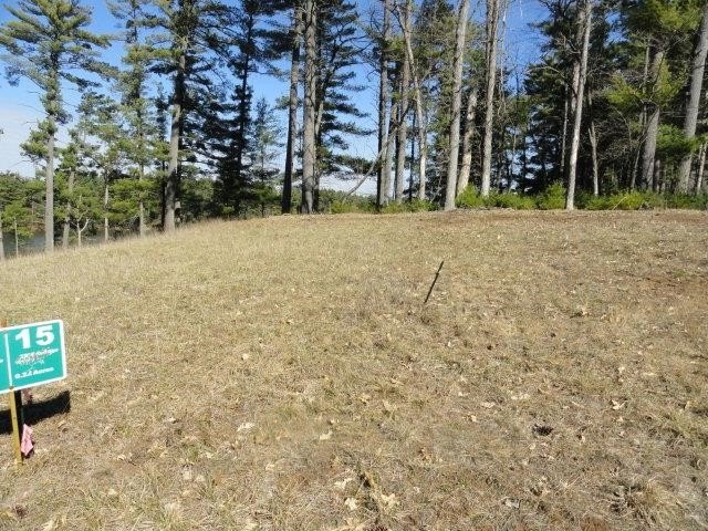 Lot 16, a buildable wooded lot on Nepco Lake, Central Wis. Build - photo 28