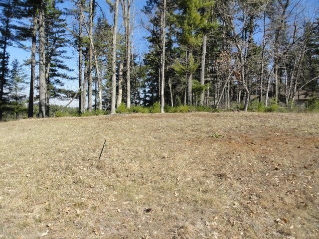 Lot 16, a buildable wooded lot on Nepco Lake, Central Wis. Build - photo 29
