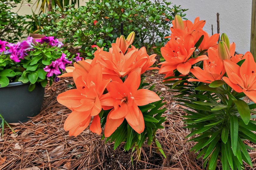 Welcome to 8004 Legend Creek, located within the Sandestin Golf - photo 30