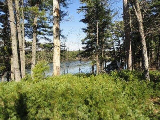 Lot 16, a buildable wooded lot on Nepco Lake, Central Wis. Build - photo 32