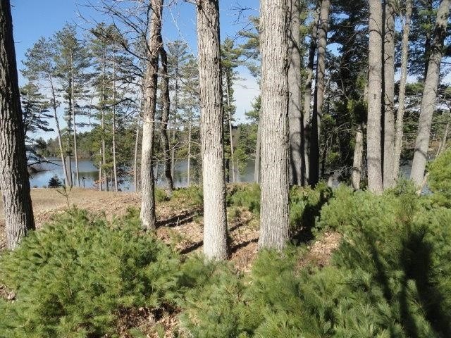Lot 16, a buildable wooded lot on Nepco Lake, Central Wis. Build - photo 34